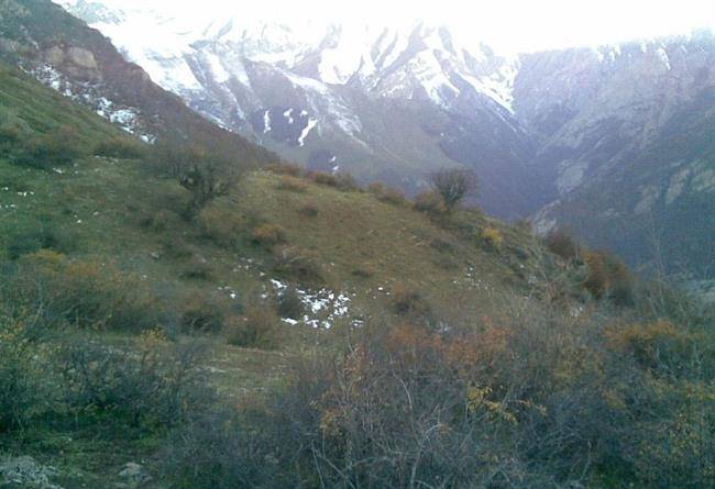 منطقه حفاظت شده بلس‌ کوه