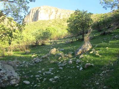 روستای دشترزم