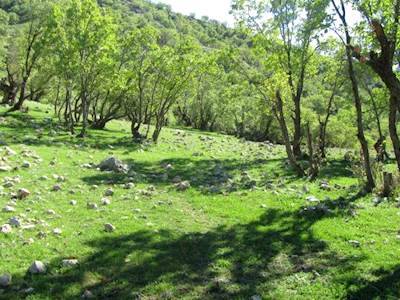 روستای دشترزم