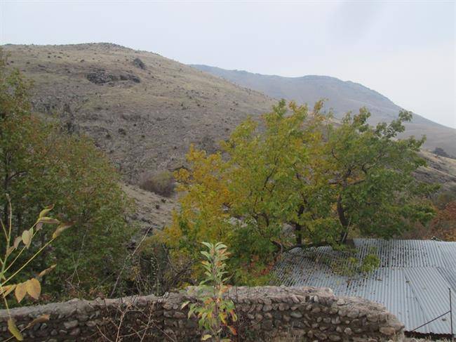 روستای شکرناب