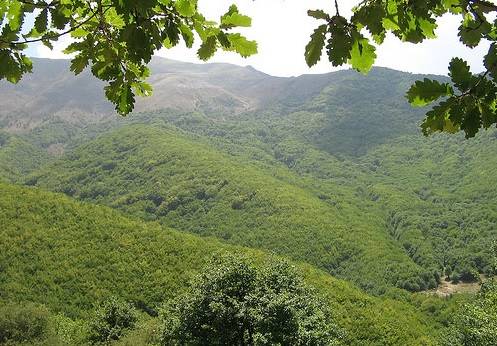 منطقه حفاظت شده ارسباران