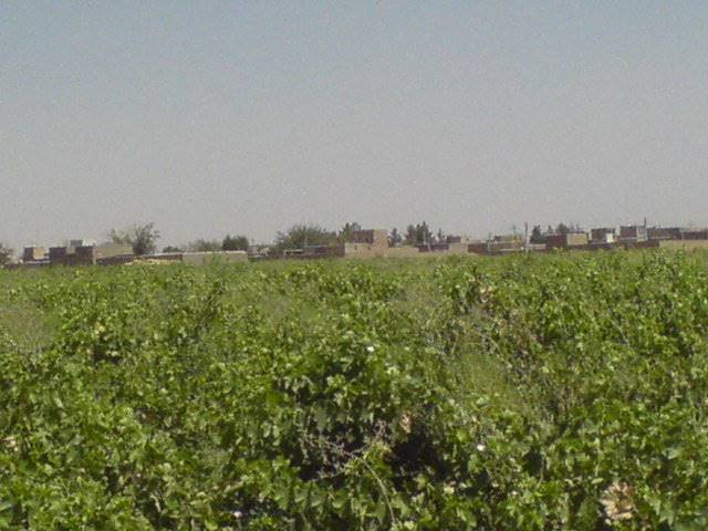 روستای جنت آباد