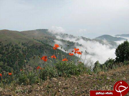 روستای یکه باغ