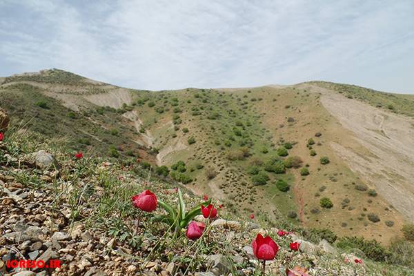 روستای چشمه علی