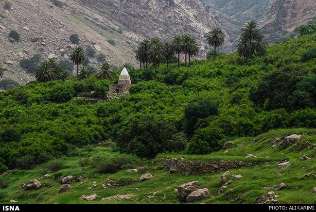 روستای شوی