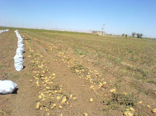 روستای حاجی پمق