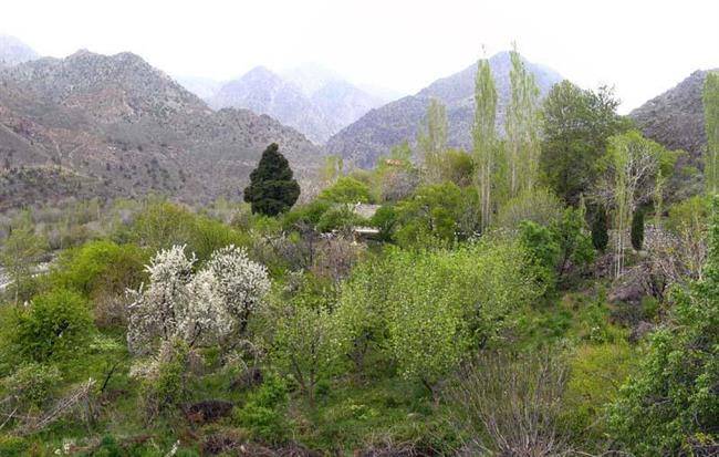 روستای دلفارد