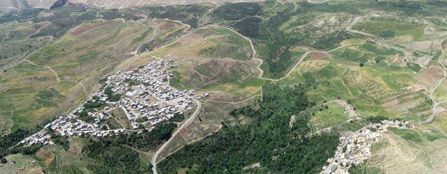 روستای زرده