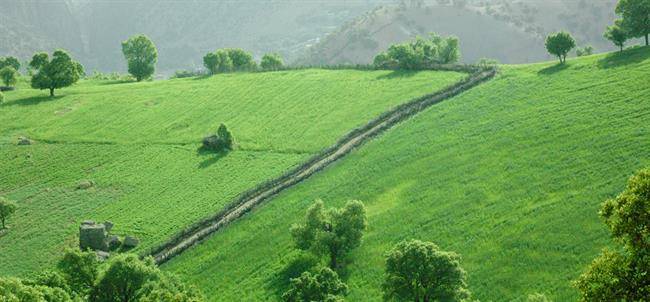 روستای پراشکفت