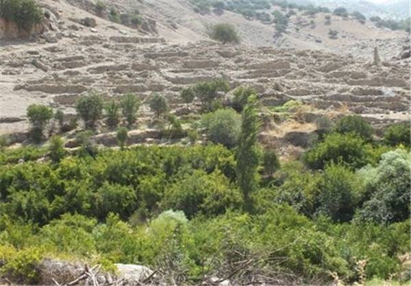 روستای فتح