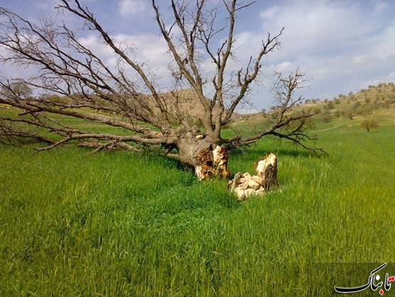 روستای رود ایک