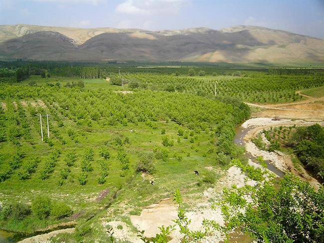 روستای کاکان