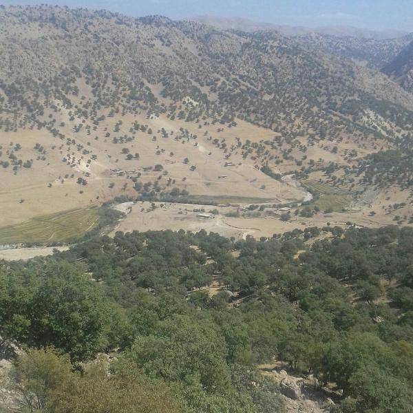 روستای اوله