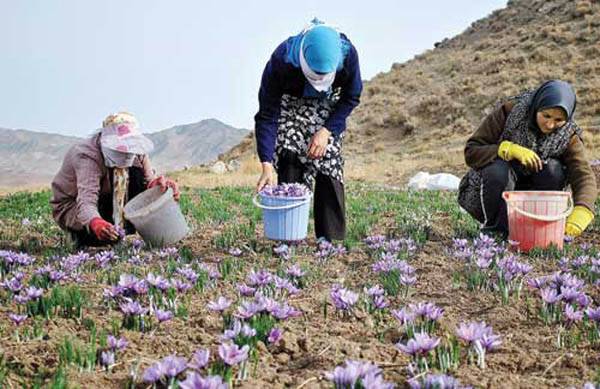 روستای وامنان