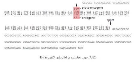   آنکوژن های سلولی و نقش آن ها در سرطان (1)