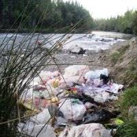 راهکارهای برونرفت از مشکلات محیط زیستی کشور