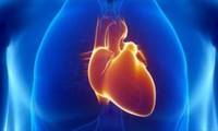 علل، علائم و درمان بزرگ شدن قلب - 2