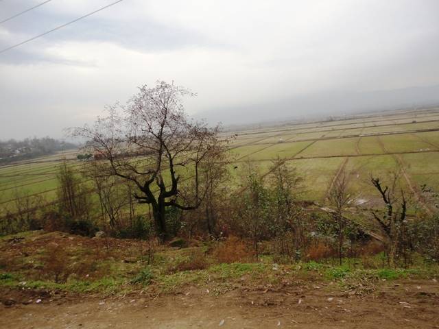 روستای شیخ علی توسه