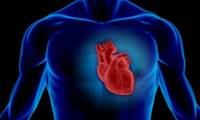 علل، علائم و درمان بزرگ شدن قلب - 1