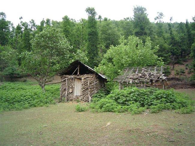 روستای دیورود