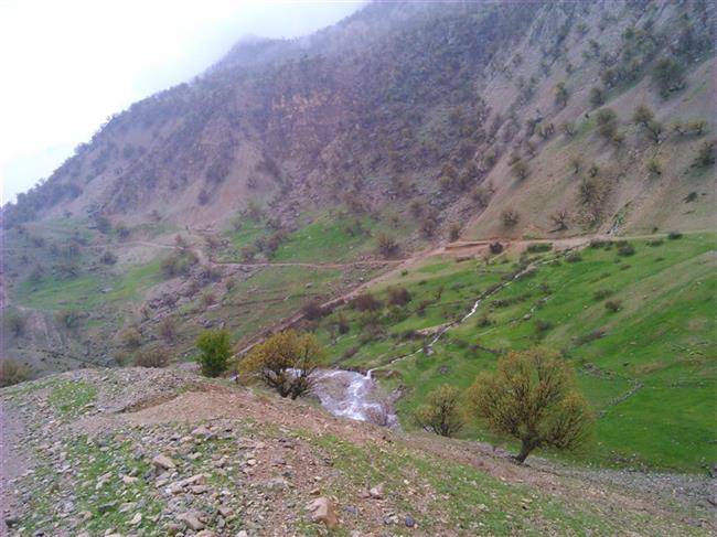 روستای گنجه