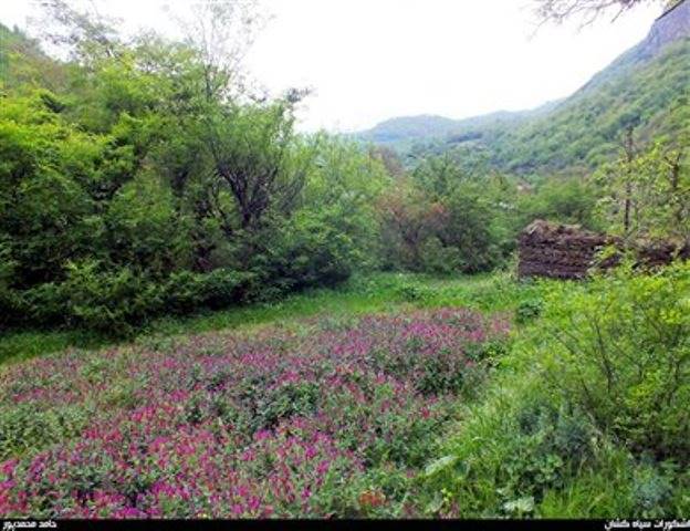 روستای سیاهکشان