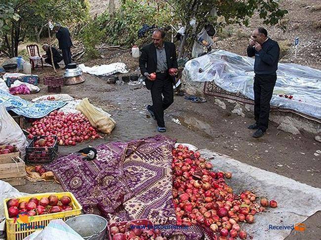 جشن انار؛ مراسمی برای همدلی در روستای نوده