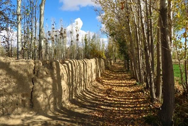 «گردشگری روستایی» روزنه‌ای برای رونق روستاها