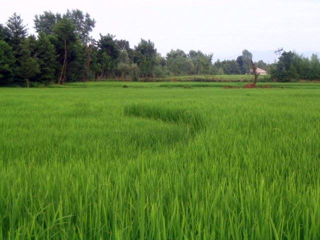 روستای دهبنه