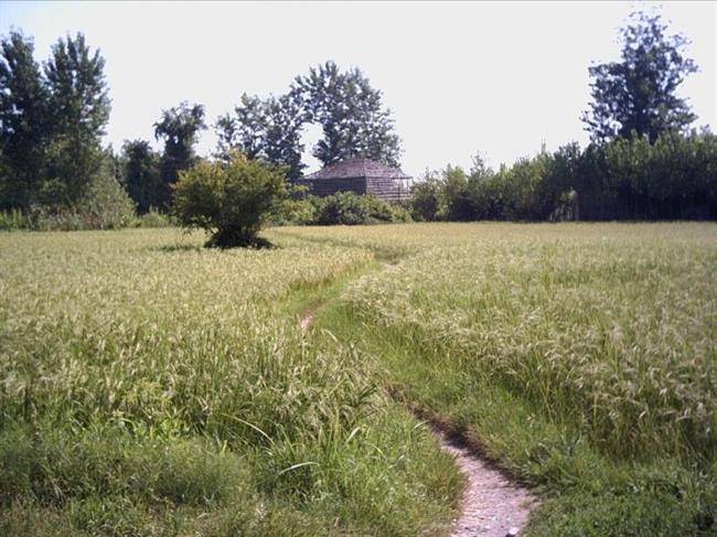 روستای یوسفده