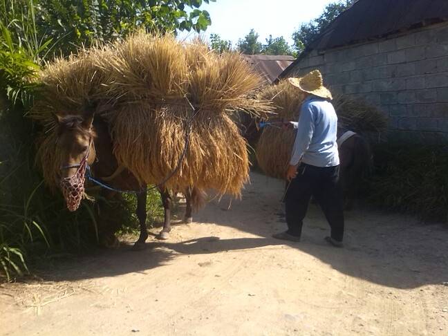 روستای کلشتاجان