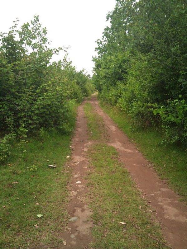 روستای گالشکلام