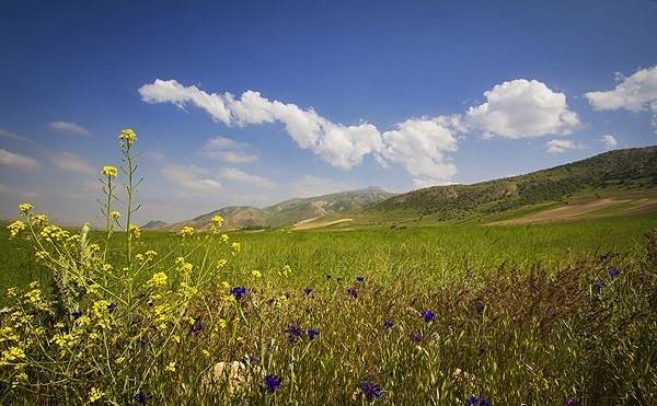 منطقه نمونه گردشگری میلانلو