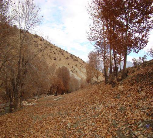 روستای بسطام