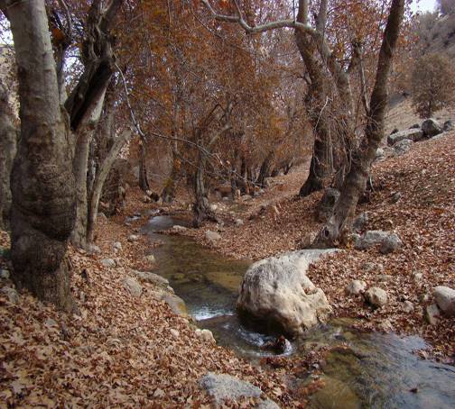 روستای بسطام