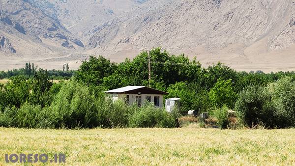 روستای امیر