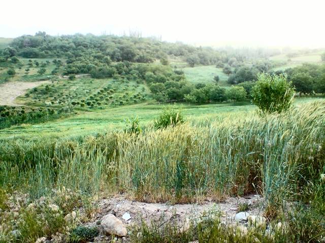 روستای خشتیانک