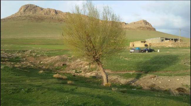 روستای طاسهل