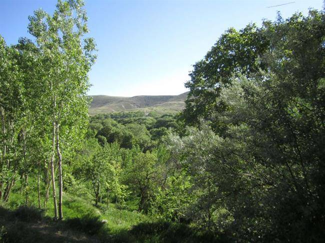 روستای کهنمو