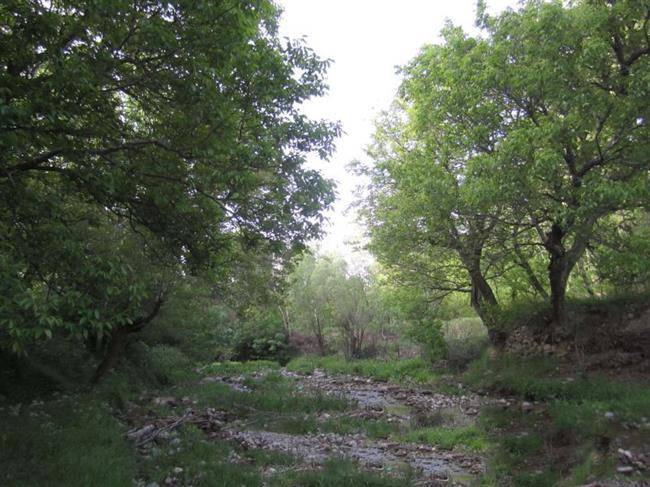 روستای کهنمو