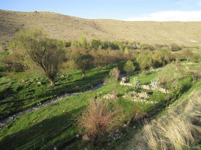 روستای کهنمو