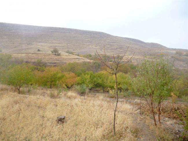 روستای کهنمو