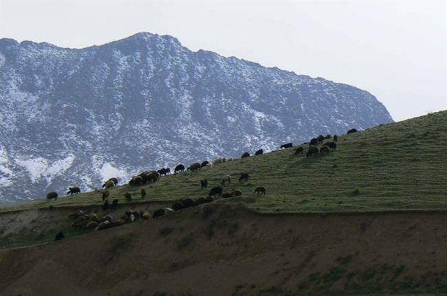 روستای گیجالی بالا