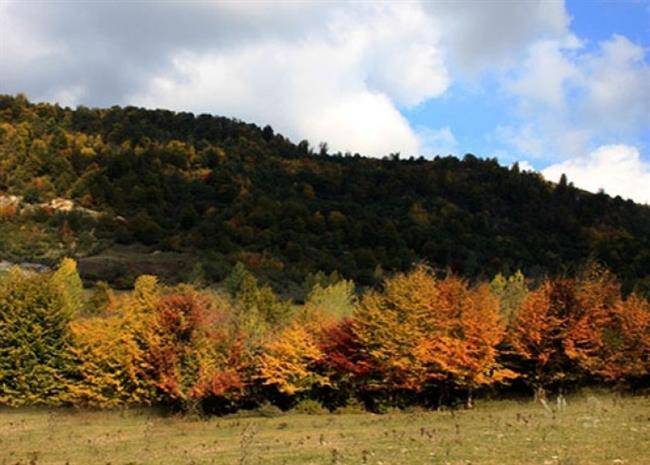 جنگل‌های انجیلی سوادکوه