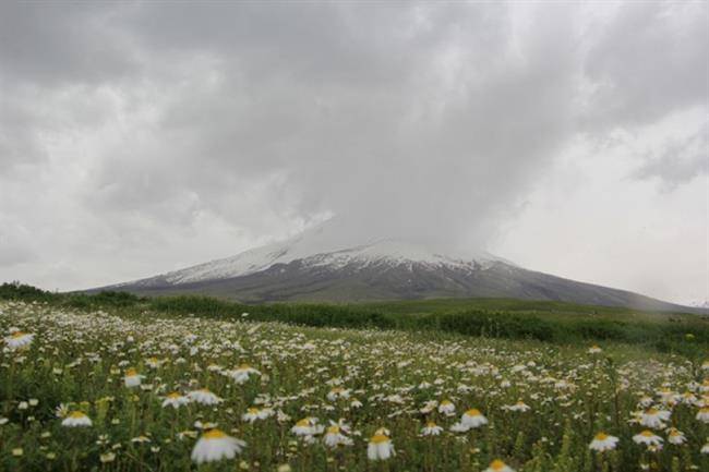 طبیعت بورالان