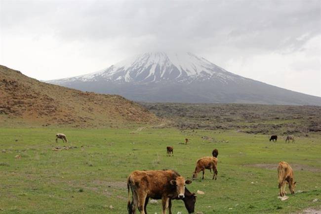 طبیعت بورالان