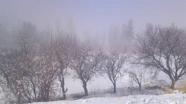 روستای برکوه