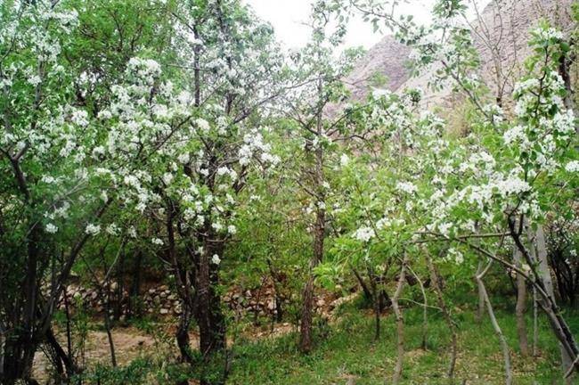 روستای خداآفرید