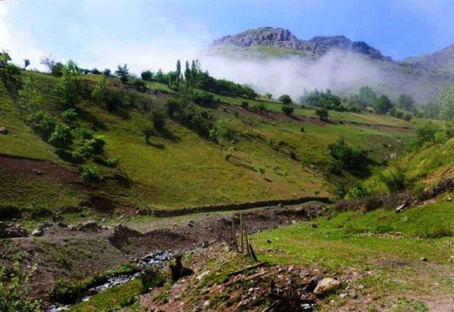 روستای سرخک سنجابی