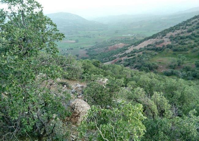 روستای سرخک سنجابی